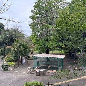 亀山山頂より。公園。