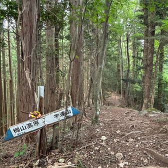 愛知県民の森からの合流地点、人の気配全然無し😑