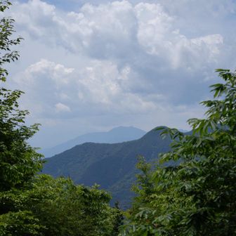 富士山は雲に隠れて見えません
