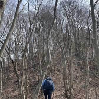 あと少し
この先が目的地、南三方ヶ森🌳