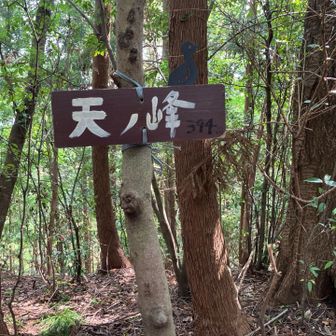 ここからのくだりは、このコースで官ノ倉山からのくだりの次に危ないかも。