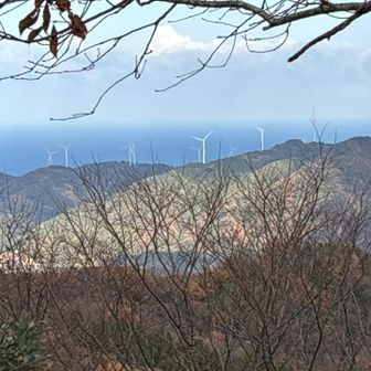 いつもの日本海と風車