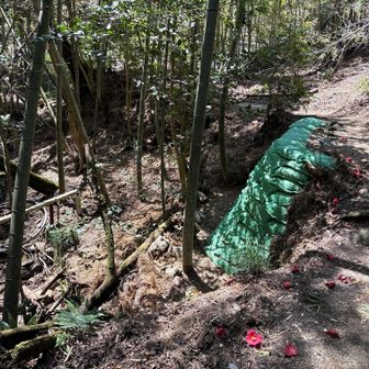 さらに降りていく