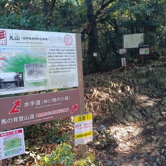 ここから馬の背登山道で山頂を目指します。