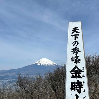 まさのり
