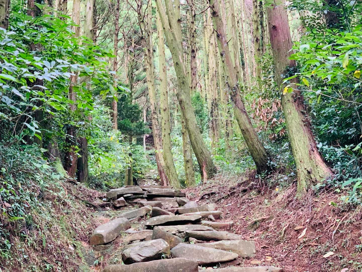 石の階段を登って、