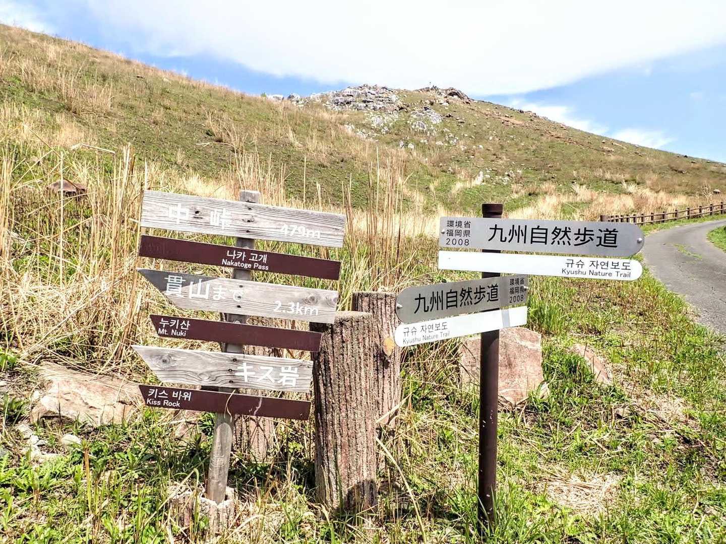 中峠
岩山周辺のおきなぐさを求めて 貫山の方向へ