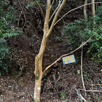 麻呂子山登り口