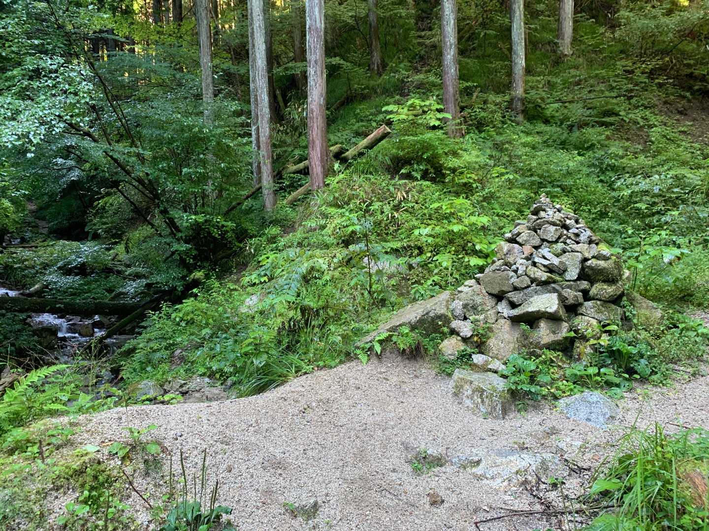 もみじとオオカミの分岐