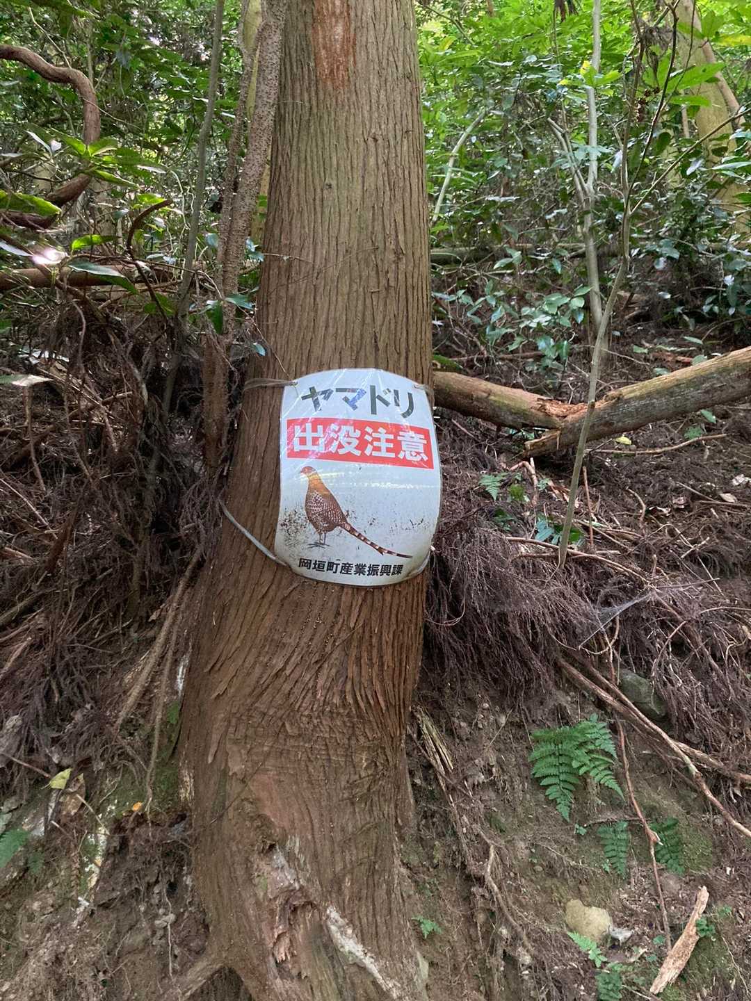 成田山登山口-湯川山 往復コースの写真