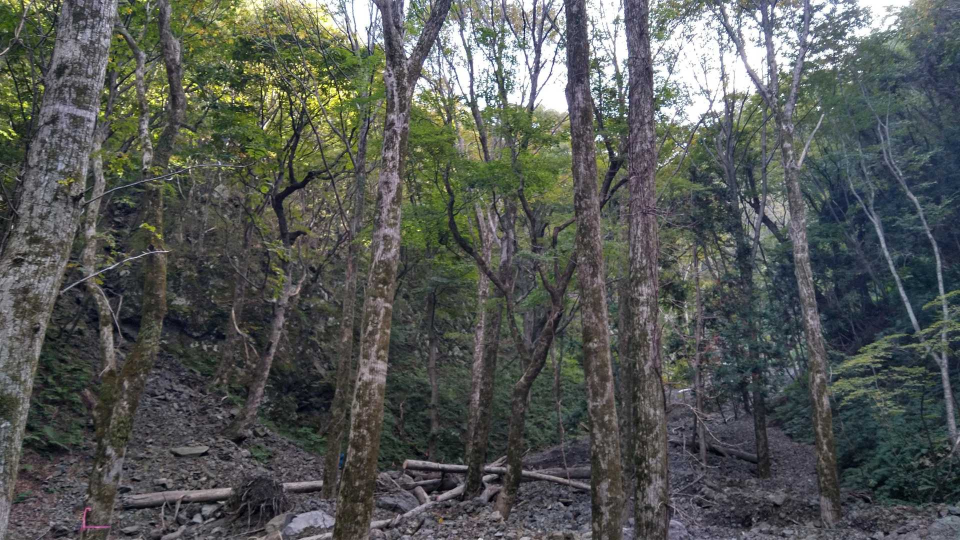 奥十二湖駐車場バス停-崩山 往復コースの写真