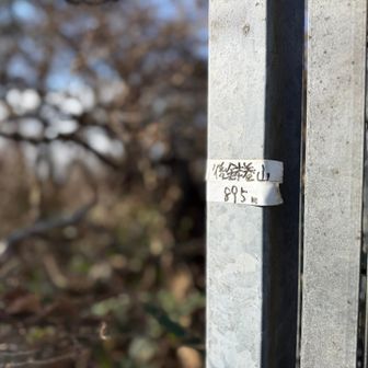 🪧後鉢巻山⛰️✨

前回は下のトンネルを通過してピークGETしてたから、今回はちゃんとピークを踏めて良かったけど、山頂標識がビニールテープにマジックって😅残念😂