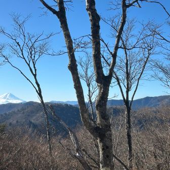 酉谷山からの景色。春から秋は葉っぱで富士山見え難いかもです。