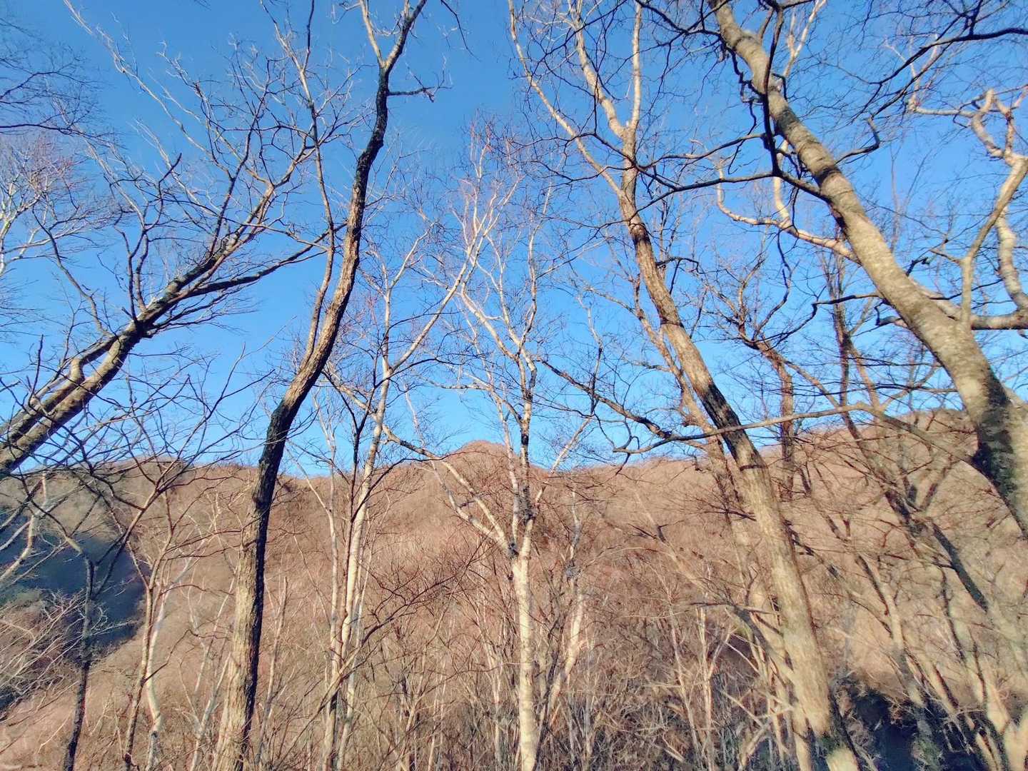 下山中。横山岳3つ、見えてました