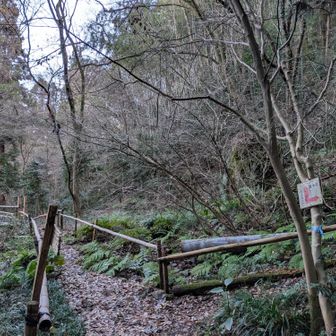ここを右に登ってゆくと土田山山頂への道があります。
結構大変な道です。
行かれる方は気をつけて！

◇ここから土田山山頂へと歩いたレポ
https://yamap.com/activities/36189307