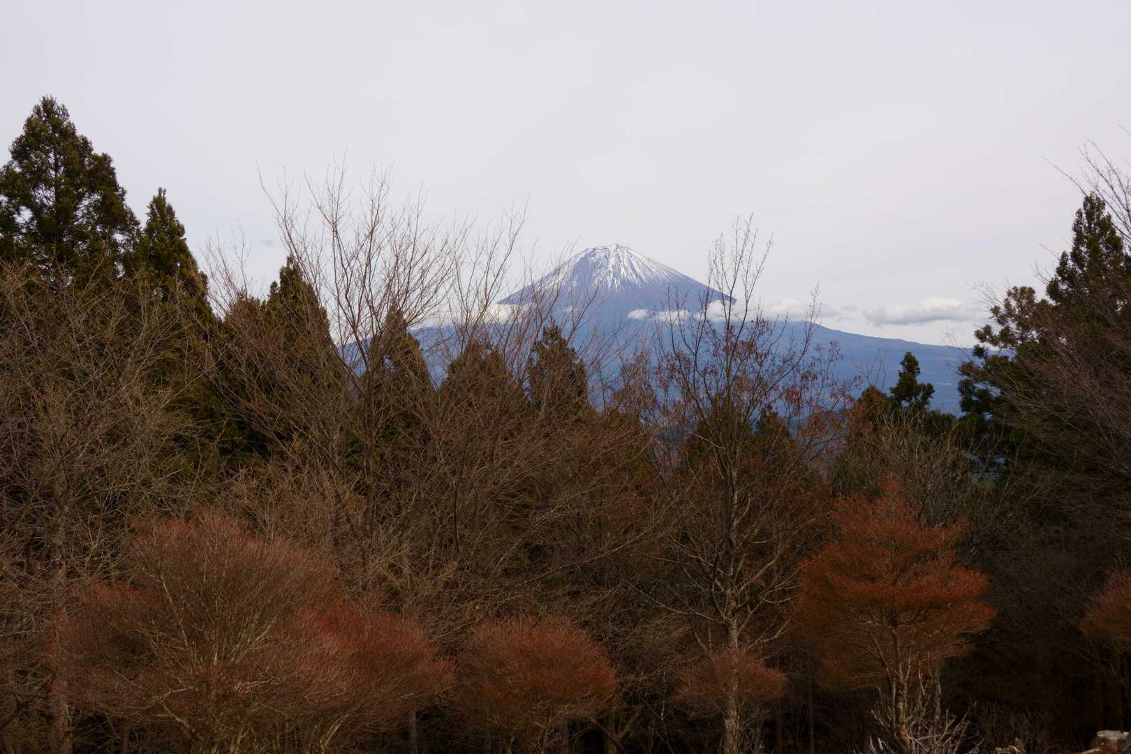 山頂より。