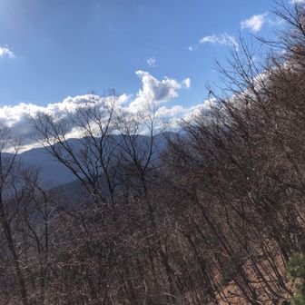 富士山はね、そこにあるんだよね