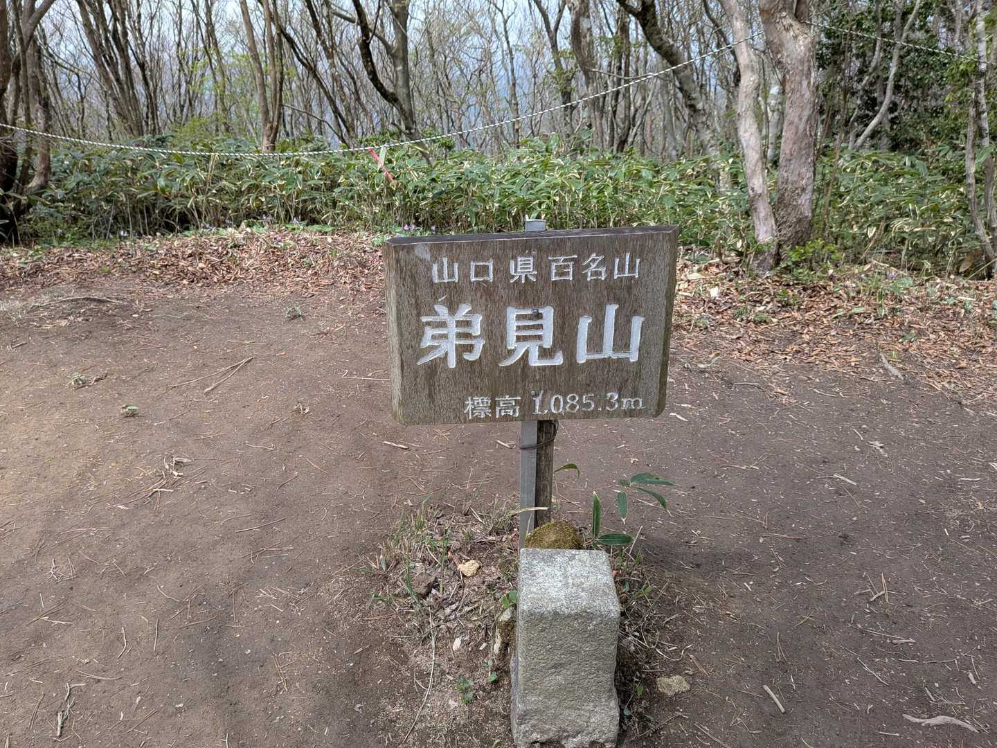 弟見山⛰️