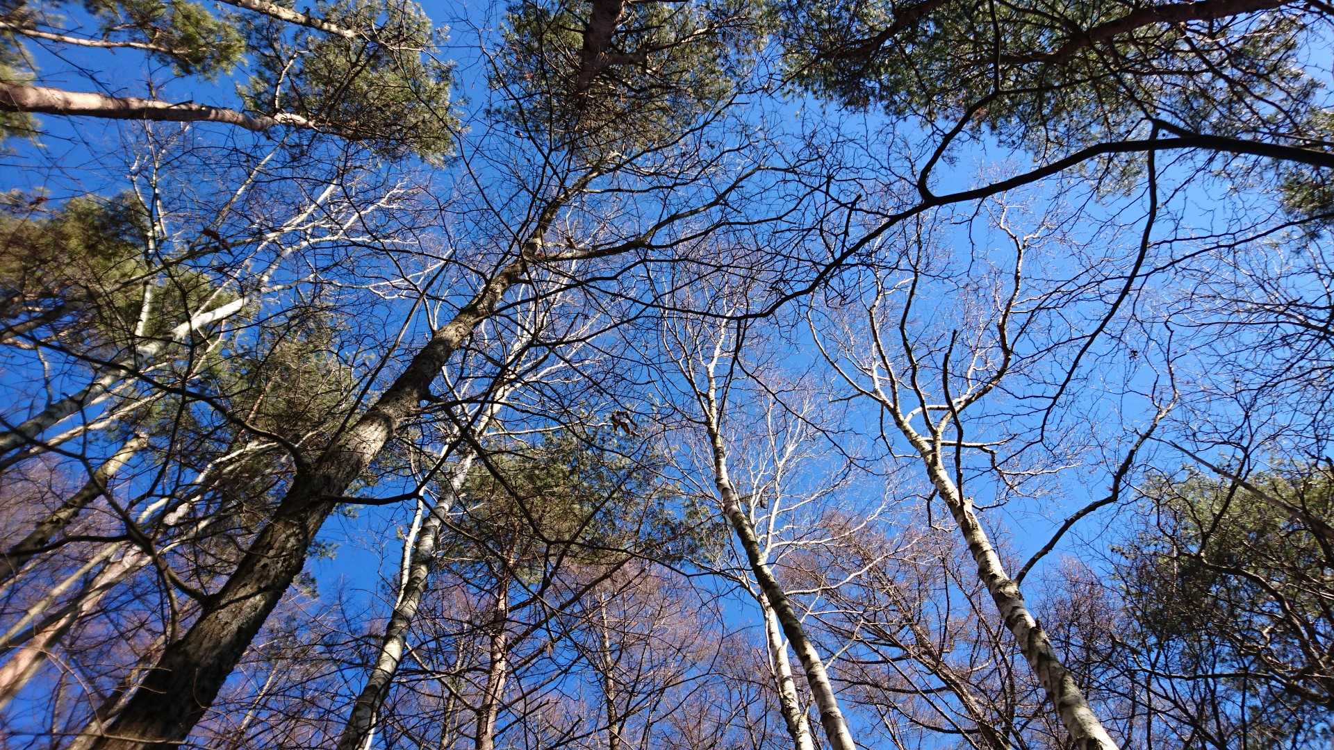 キレイです(^^)
今日も良い天気🎵