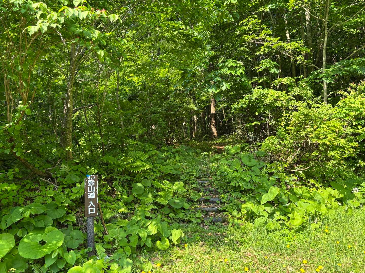 比内コース登山口-竜ヶ森 往復コースの写真