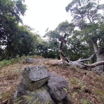 山頂