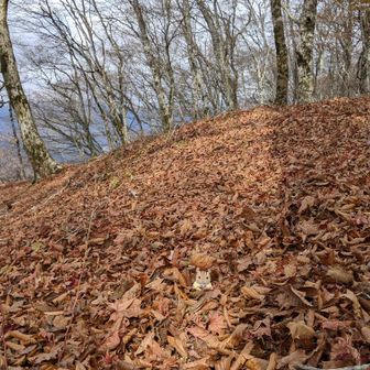 日も差してきてぼっと一息♪