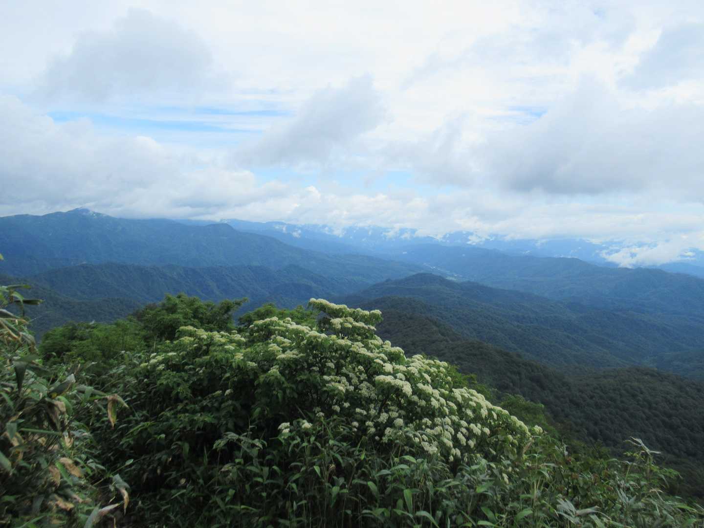 遠景が見えてきました。
