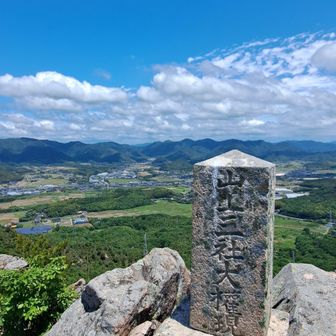 なか電