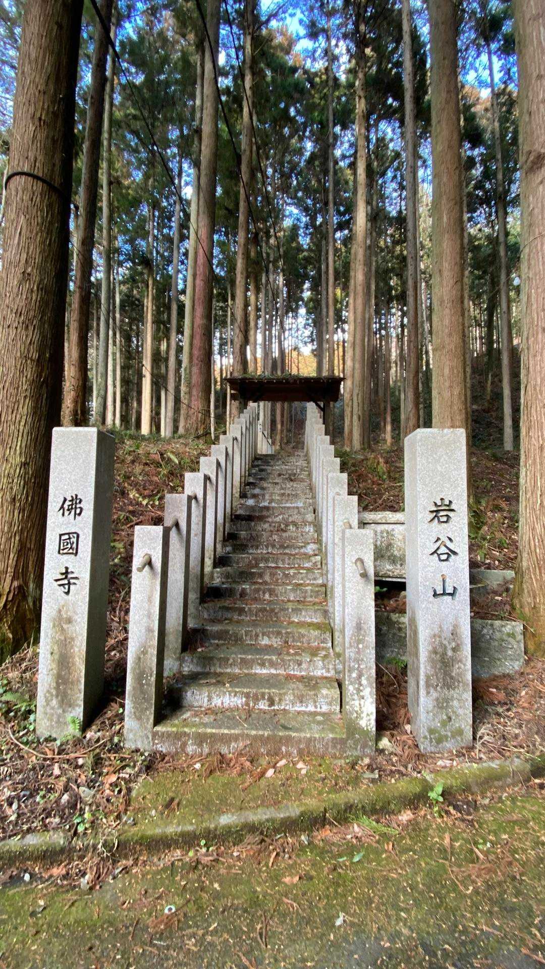 仏国寺-高取山 往復コースの写真
