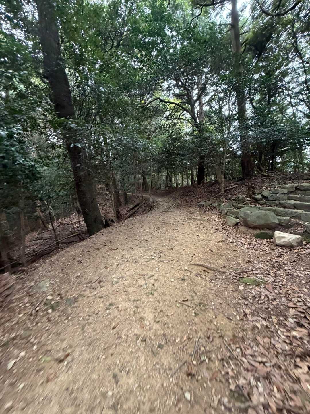 てくてく🚶