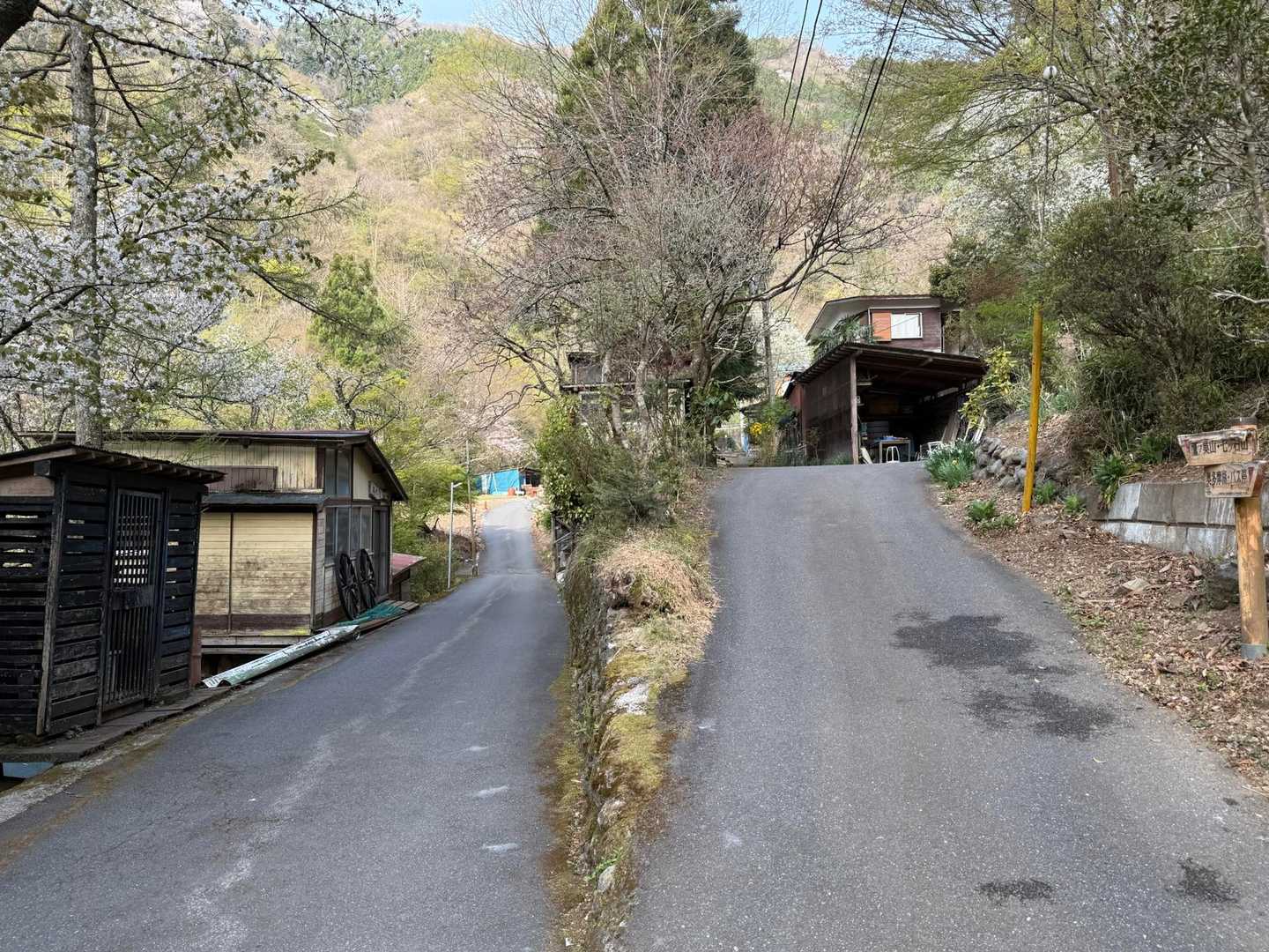 ここは右へ行きます