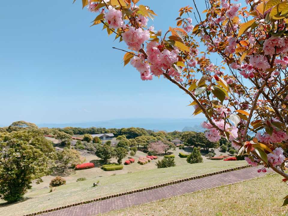 園内はきれいにされてます✨