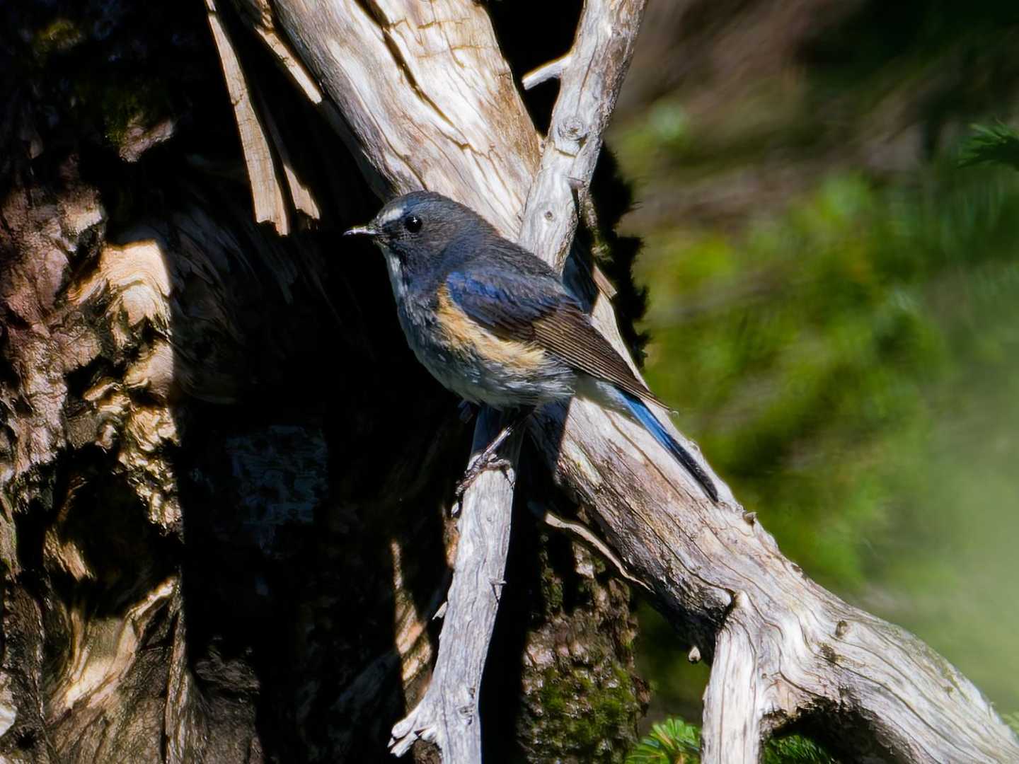 左向き右向きサービス満点💯