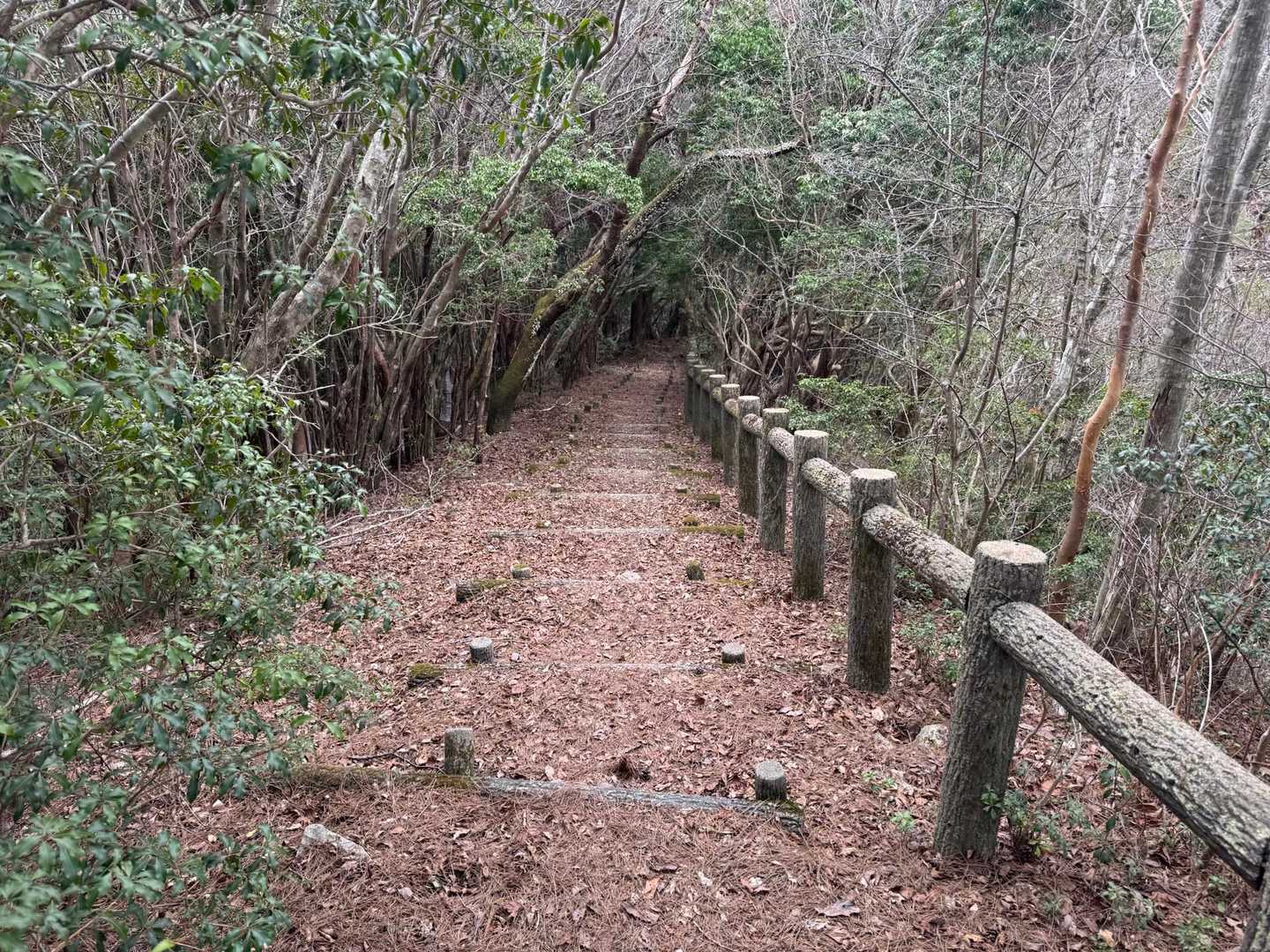 道は整備されてます。