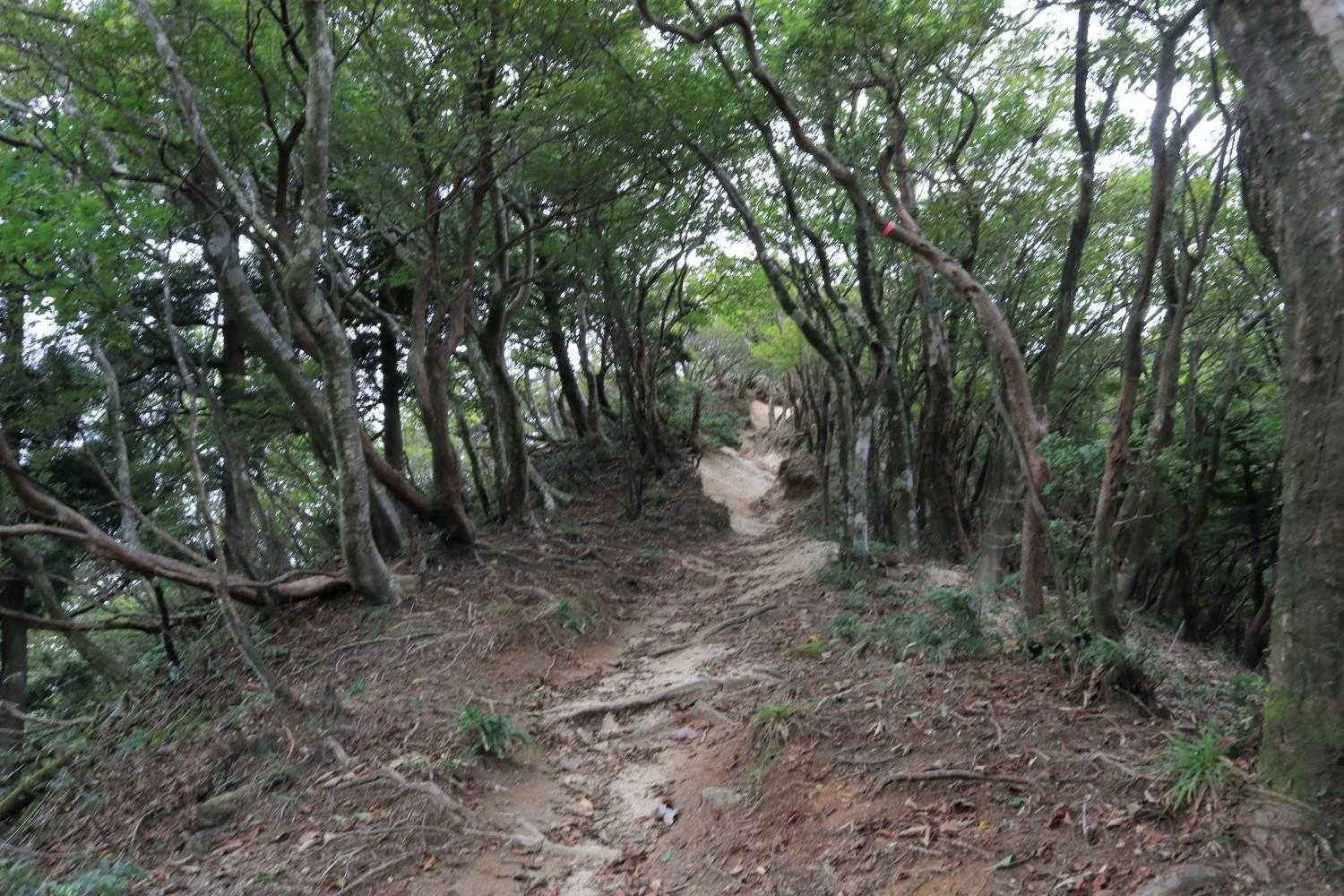 右側に進みます💨🥾🥾
所々、良い風が吹いて気持ちいい☘️😌