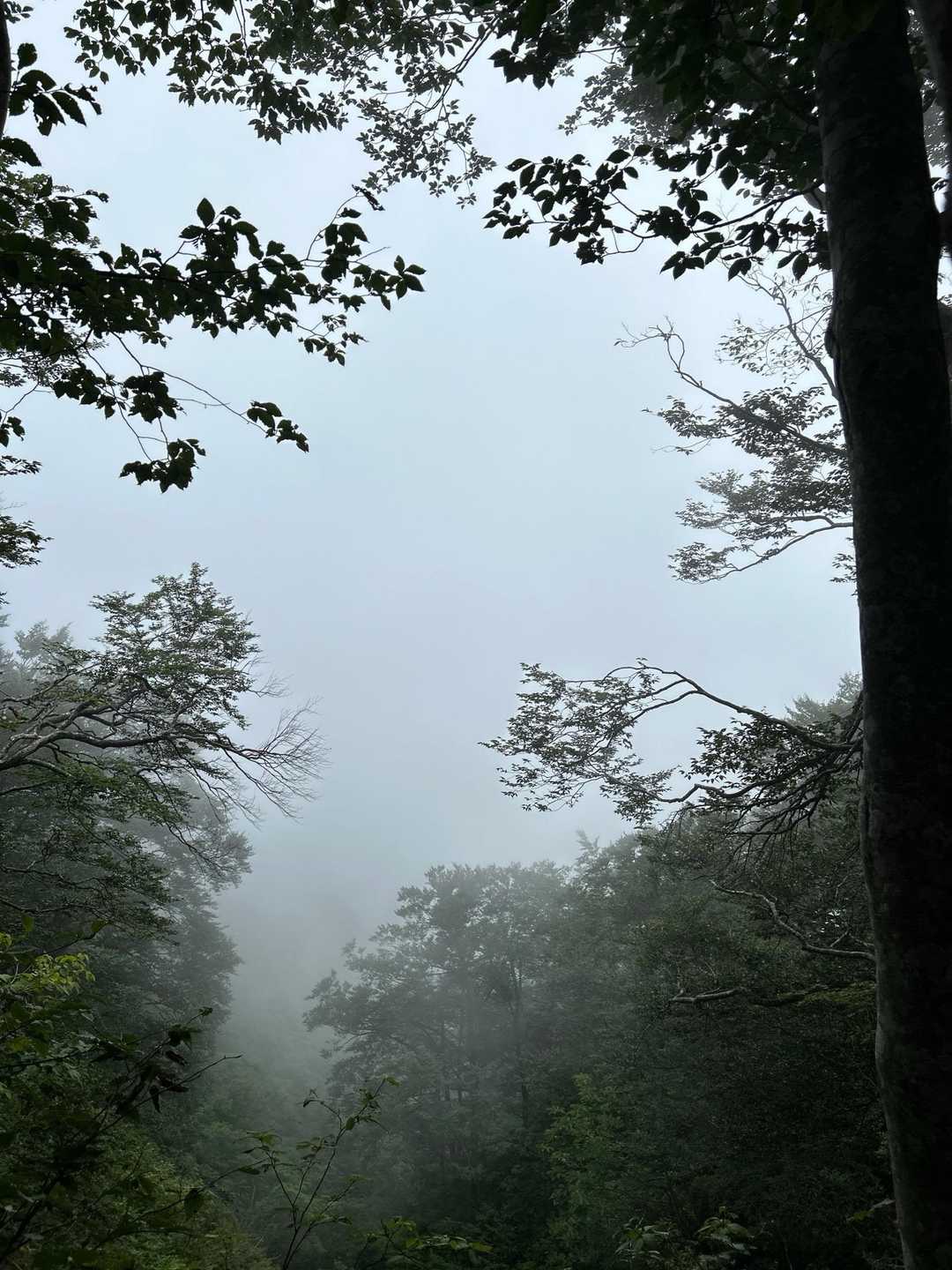 真っ白で景色は見えません😅