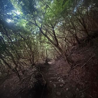 足取り軽く