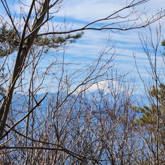 生藤山からみた富士山🗻