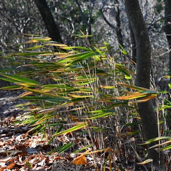 風になびいて
全員左を向く