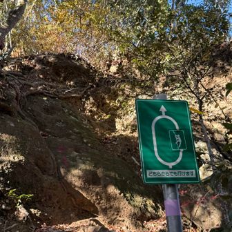 ココは巻道を通りました〜
