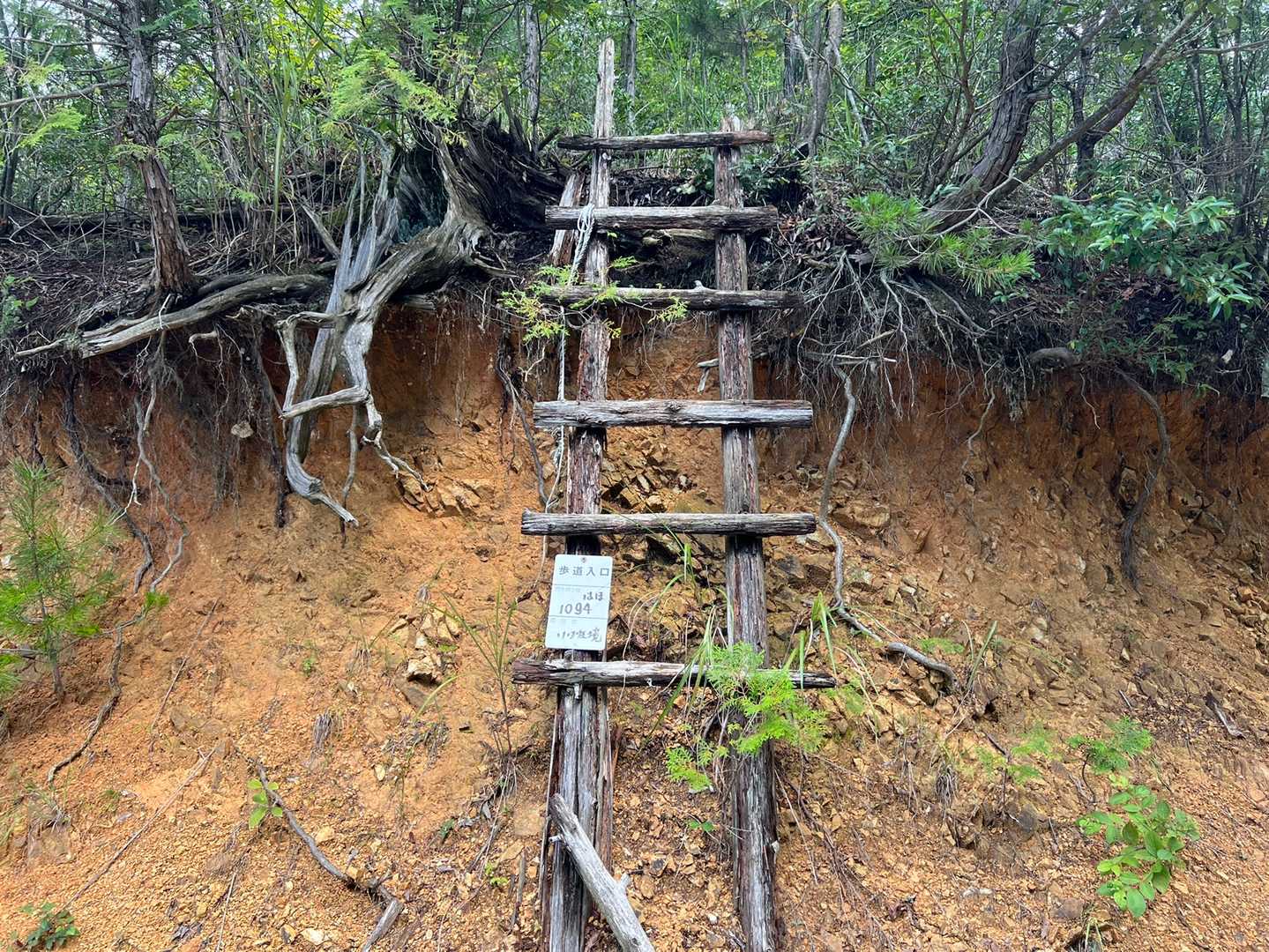 歩道入口って書いてあるけど、この梯子登れるのかなぁ