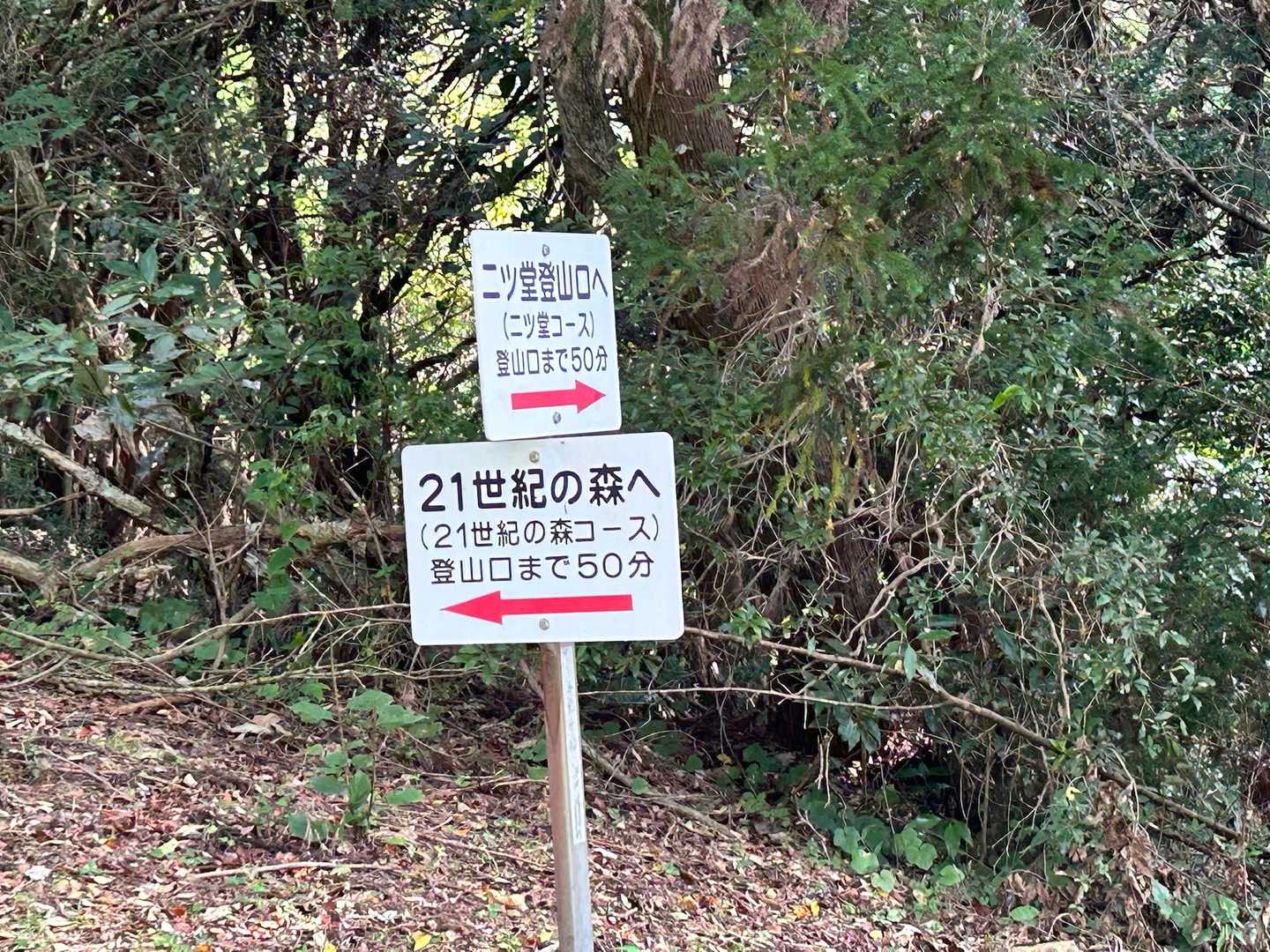 ２１世紀の森コースへ行くと萩往還に行けます