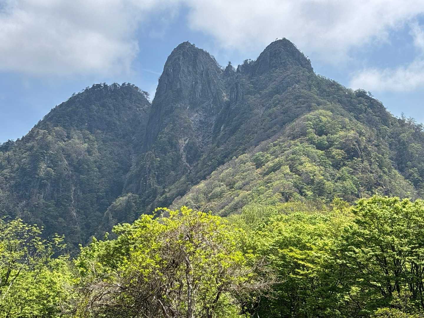 傾山-九折越 周回コースの写真