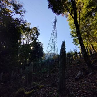 鉄塔発見！
そんなん撮らないで早く進みましょう