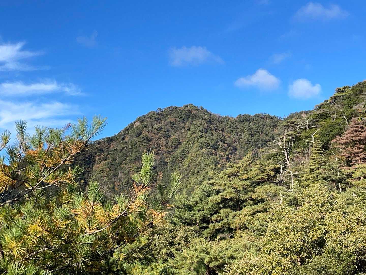 あとで行く矢筈山