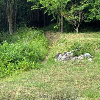 待ちに待った、額井岳⛰️へ行ってまいりやす💪