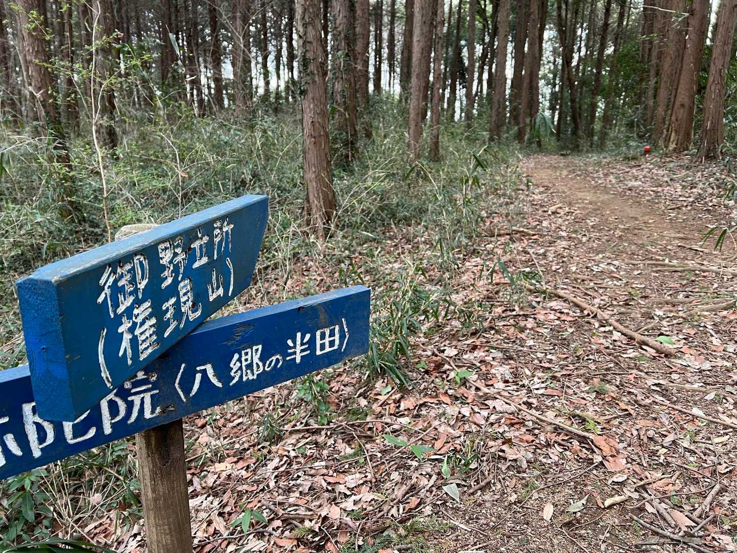 権現山へ