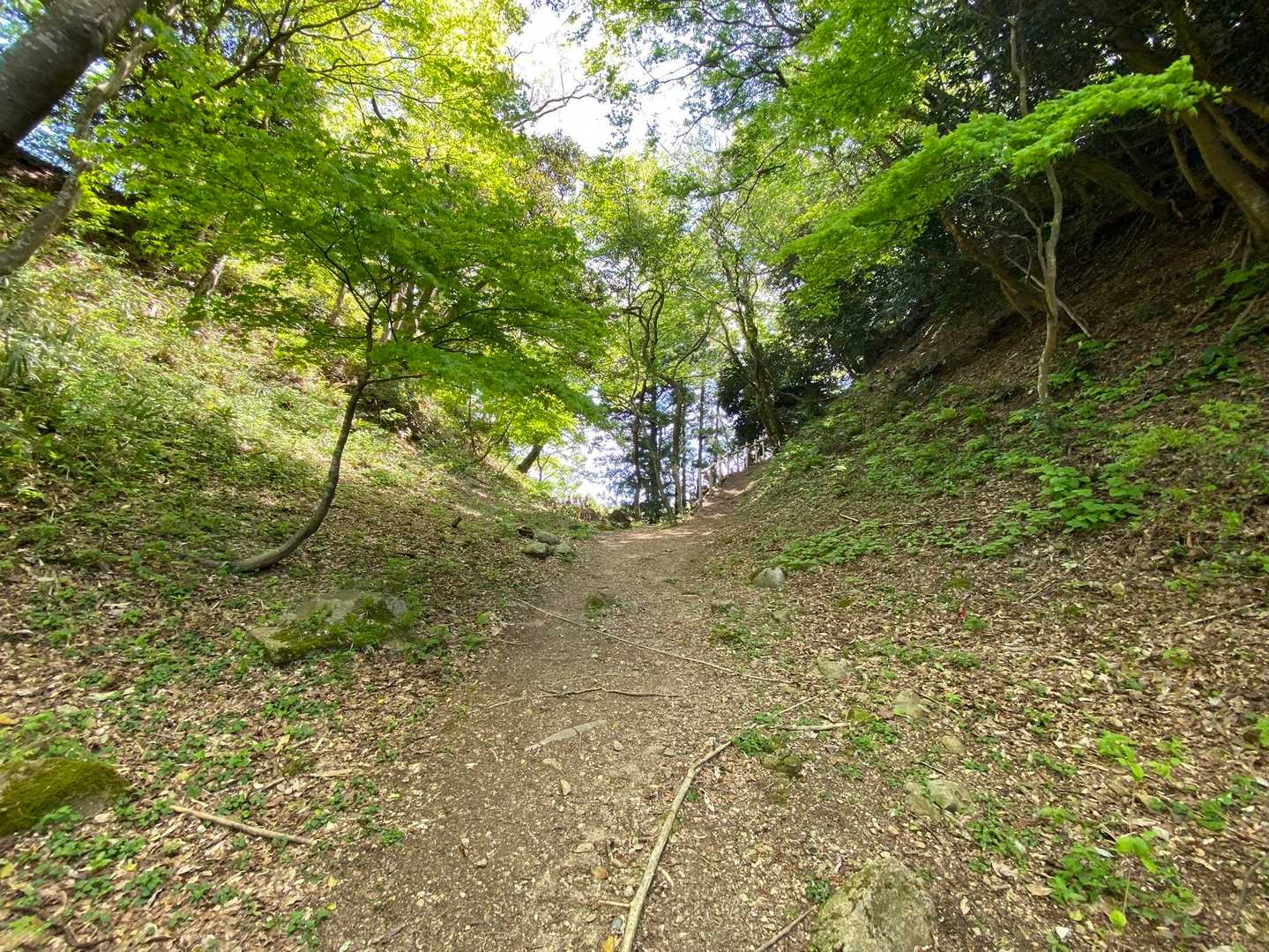 七尾城跡-松尾山 往復コースの写真