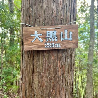 ここにくるまでの道を間違えて不要な登り下りしてしまった😭
こんな山頂標識あったっけ?