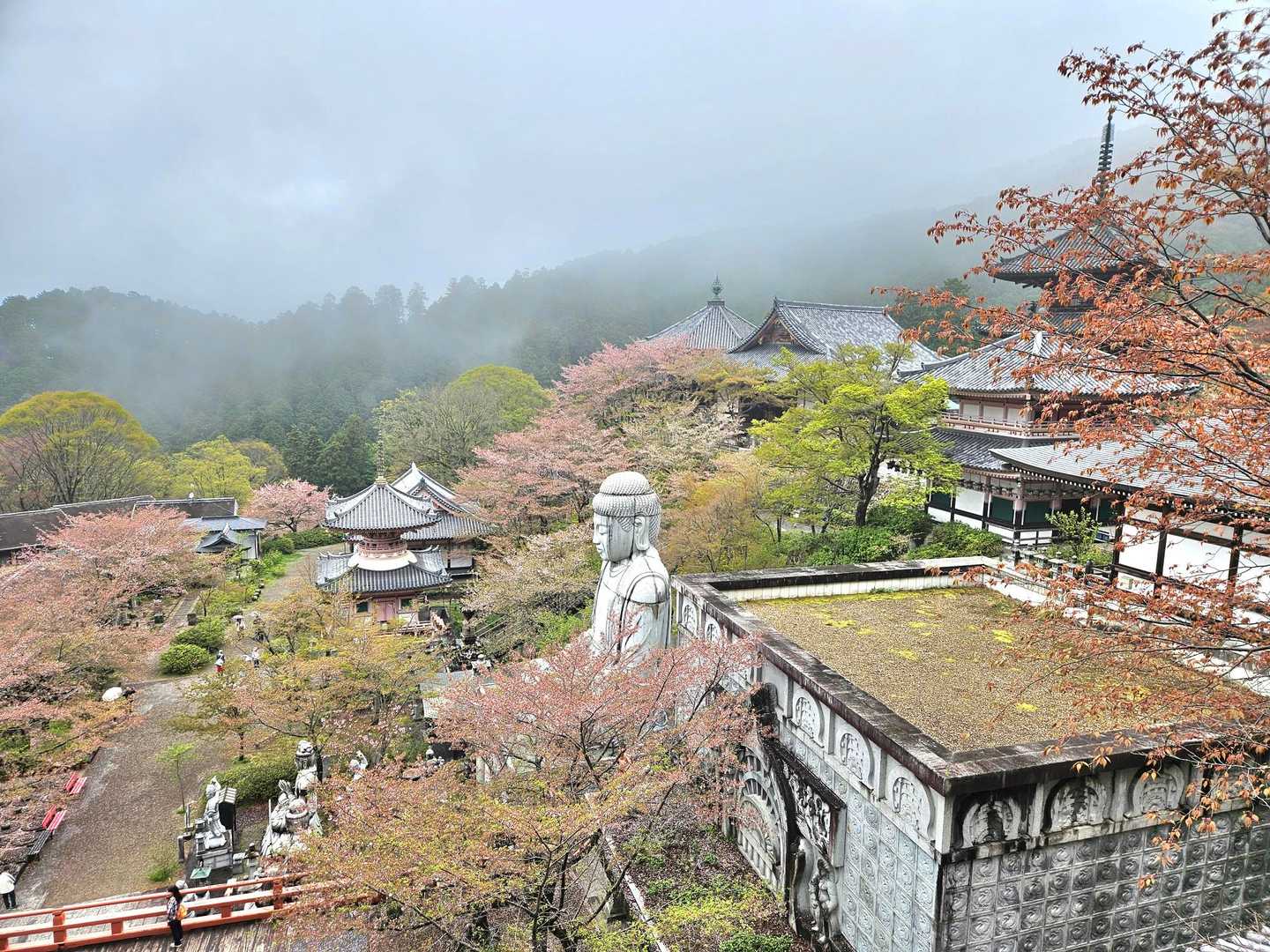 しかしでっかい寺やな。